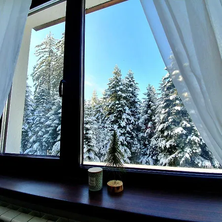 Apartment Pinewood Ang Luxurious A43, Gardens Borovets