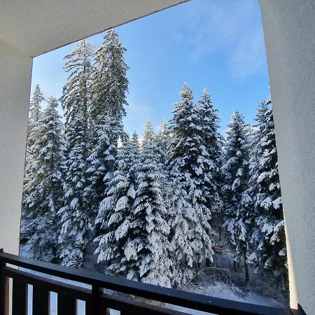 Pinewood Ang Luxurious A43, Gardens Apartment