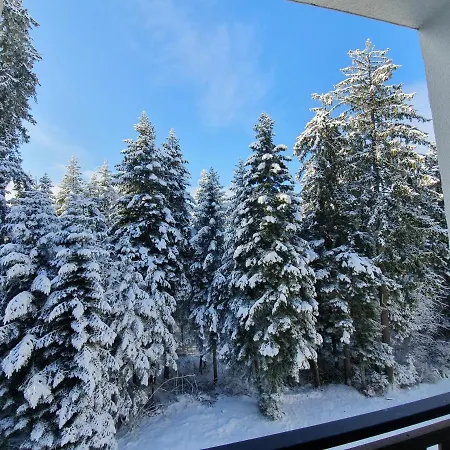 Pinewood Ang Luxurious A43, Gardens * Borovets