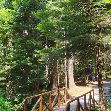 Pinewood Ang Luxurious A43, Gardens Borovets